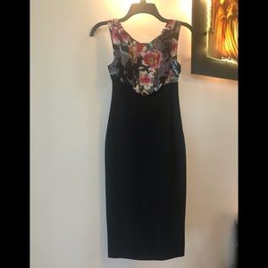 Ted Baker Sammya Sheath Dress SZ 0 LK New